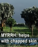 Ormus Rich Mineral Skin Cream with Myrrh